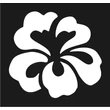 Hibiszkusz 1 csillámfestő sablon