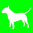 Bullterrier  csillámfestő sablon