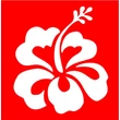 Hibiszkusz 1 csillámfestő sablon