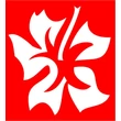 Hibiszkusz 2 csillámfestő sablon