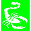 Skorpió csillámfestő sablon