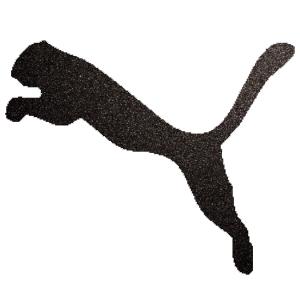 Puma csillámfestő sablon