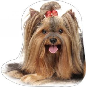 Yorkshire terrier formapárna