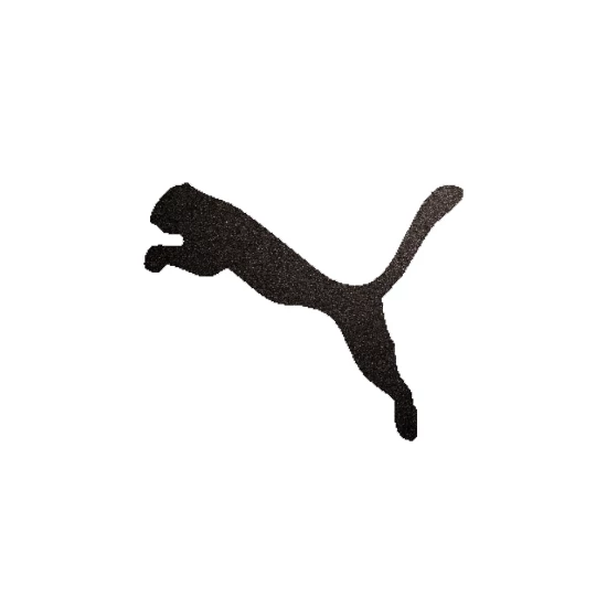 Puma csillámfestő sablon