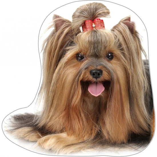 Yorkshire terrier formapárna
